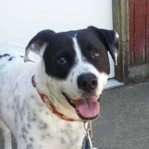 Meet your Posher, Carol